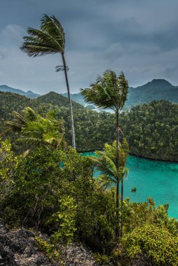 Endonezya Papua Raja-Ampat-Papua 'da muhteşem bir gün batımı