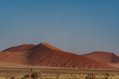 Namib Çölü 'nde kum tepeleri ve Namibya' nın ön planında ağaçlar.