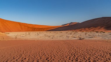 Ölü Camelthorn ağaç kırmızı tepeleri ve Deadvlei, Sossusvlei mavi gökyüzünde karşı. Namib-Naukluft Milli Parkı, Namibya, Afrika