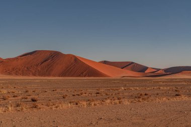 Namib Çölü 'nde kum tepeleri ve Namibya' nın ön planında ağaçlar.