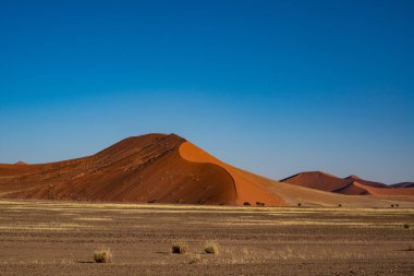 Namib Çölü 'nde kum tepeleri ve Namibya' nın ön planında ağaçlar.