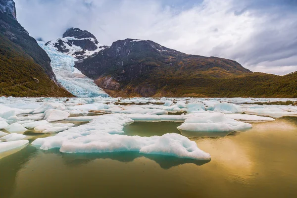 Schöne Landschaft Patagonien Berge Gletschersee Flusswälder Und Wasserfälle Chile Argentinien — Stockfoto