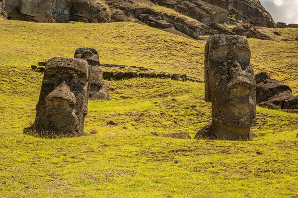 Statues Moai Dans Volcan Rano Raraku Sur Île Pâques Parc — Photo
