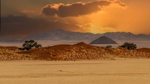 Riesige Sanddünen Der Namib Wüste Mit Bäumen Vordergrund Von Namibia — Stockfoto