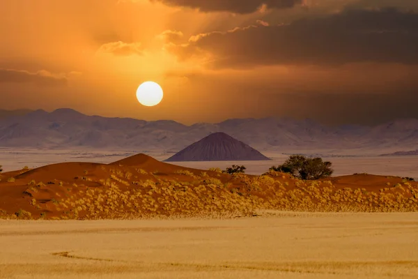 Enorme Zandduinen Namibische Woestijn Met Bomen Voorgrond Van Namibië — Stockfoto