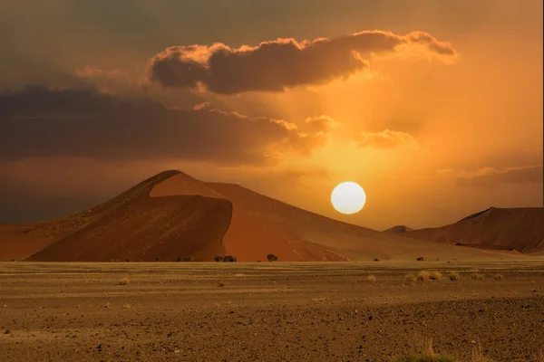 Ogromne Wydmy Pustyni Namib Drzewami Pierwszym Planie Namibii — Zdjęcie stockowe