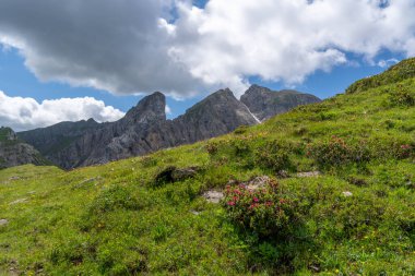 Bulutlu Dolomitler Gusela dağı, Passo di Giau ve Ra Gusela zirvesi. Konum yeri Dolomiti Alpleri, Cortina d 'Ampezzo, Güney Tyrol, İtalya, Avrupa.