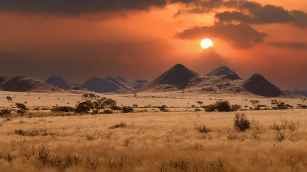 Namib Çölü Nde Kum Tepeleri Namibya Nın Planında Ağaçlar — Stok fotoğraf