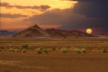 Namib Çölü 'nde kum tepeleri ve Namibya' nın ön planında ağaçlar.