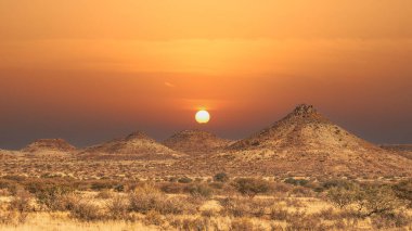 Namib Çölü 'nde kum tepeleri ve Namibya' nın ön planında ağaçlar.