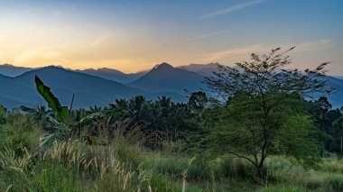 beautiful landscape with mountains in the background srilanka