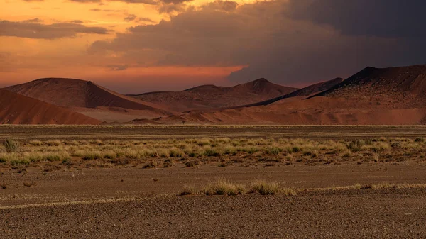 Огромные Песчаные Дюны Пустыне Намиб Деревьями Переднем Плане Намибии — стоковое фото