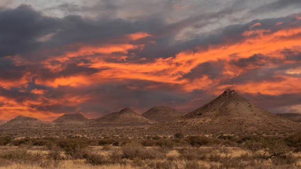 Namib Çölü 'nde kum tepeleri ve Namibya' nın ön planında ağaçlar.