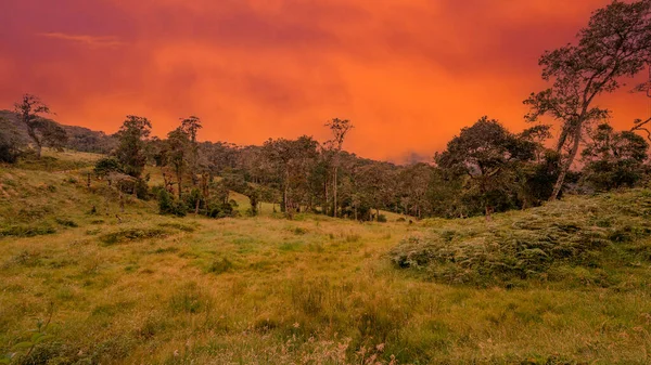 Gün Batımında Kosta Rika Yağmur Ormanları — Stok fotoğraf
