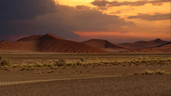 Namib Çölü Nde Kum Tepeleri Namibya Nın Planında Ağaçlar — Stok fotoğraf