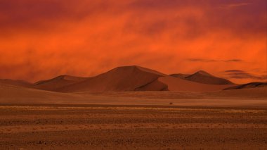 Namib Çölü 'nde kum tepeleri ve Namibya' nın ön planında ağaçlar.