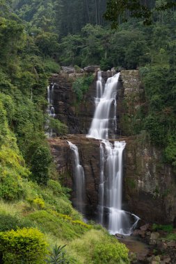 Sri Lanka 'nın çay tarlalarının arasında güzel bir şelale