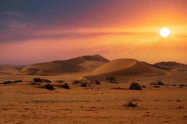 Namib Çölü 'nde kum tepeleri ve Namibya' nın ön planında ağaçlar.