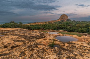 fil rock yala Milli Parkı-sri Lanka.