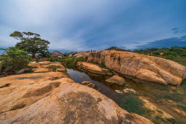 fil rock yala Milli Parkı-sri Lanka.