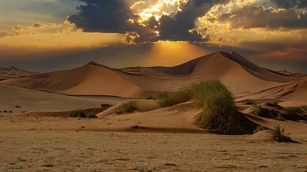 Bukit Pasir Besar Gurun Namib Dengan Pepohonan Depan Namibia — Stok Foto