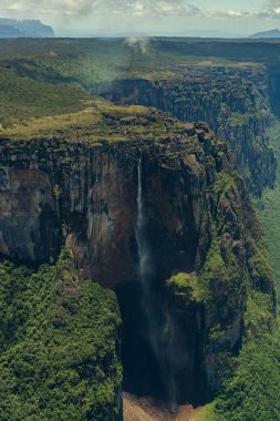 Angel Falls (Salto Angel), Venezuela, Latin Amerika 'da güneşli bir günde dünyanın en yüksek şelalesi (978 m).
