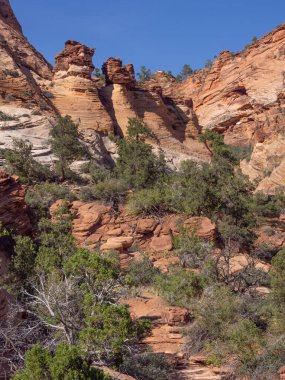 Southwest usa Zion National Park The main part of the park is Zion Canyon surrounded by the walls of the Deertrap, Cathedral and Majestic Mountain mountains. The Virgin River flows through the canyon.