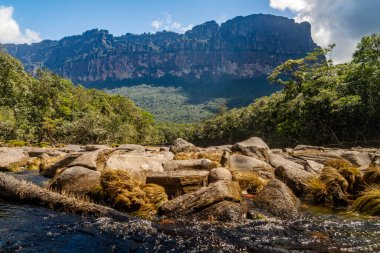 Venezuela 'daki Canaima Ulusal Parkı Dağları ve Kanyonlarının Manzarası