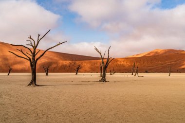 Ölü Camelthorn ağaç kırmızı tepeleri ve Deadvlei, Sossusvlei mavi gökyüzünde karşı. Namib-Naukluft Milli Parkı, Namibya, Afrika