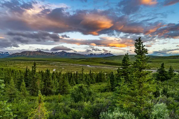 Yüzyıllar boyunca buzullar tarafından şekillendirilmiş bir ulusal park ve doğa rezervi. Kuzey Amerika 'nın en yüksek dağı Denali (eski adıyla McKinley Dağı) deniz seviyesinden 6,190 metre yükseklikte yer almaktadır..