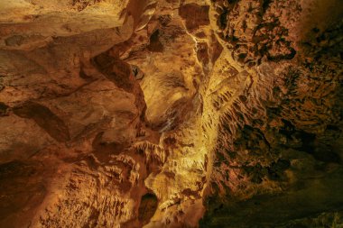 Çek Cumhuriyeti 'nin Bohem Karst bölgesindeki Koneprusy mağaralarında taş süsleme.