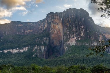 Angel Falls (Salto Angel), Venezuela, Latin Amerika 'da güneşli bir günde dünyanın en yüksek şelalesi (978 m).