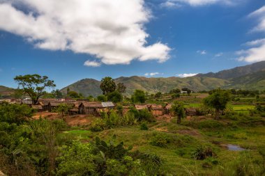 Tipik Madagaskar manzarası. Ana yol boyunca Vohiposa yakınlarındaki küçük tepelerde yeşil ve sarı pirinç tarlaları. yeşil çimen ve parlak toprak