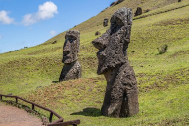 Paskalya Adası 'ndaki Rano Raraku Volkanı' ndaki Moai heykelleri, Rapa Nui Ulusal Parkı, Şili