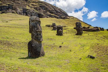 Paskalya Adası 'ndaki Rano Raraku Volkanı' ndaki Moai heykelleri, Rapa Nui Ulusal Parkı, Şili