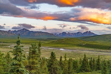 Yüzyıllar boyunca buzullar tarafından şekillendirilmiş bir ulusal park ve doğa rezervi. Kuzey Amerika 'nın en yüksek dağı Denali (eski adıyla McKinley Dağı) deniz seviyesinden 6,190 metre yükseklikte yer almaktadır..