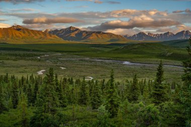 Alaska dağları, buzullar, orman, Homer 'ın manzarası