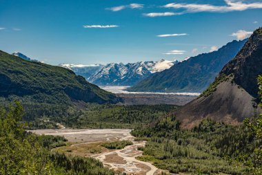 Alaska dağları, buzullar, orman, Homer 'ın manzarası