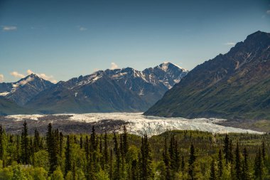 Alaska dağları, buzullar, orman, Homer 'ın manzarası