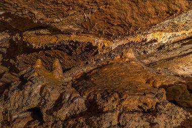 Çek Cumhuriyeti 'nin Bohem Karst bölgesindeki Koneprusy mağaralarında taş süsleme.