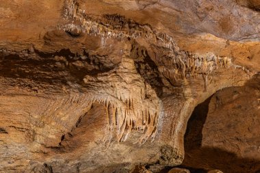Çek Cumhuriyeti 'nin Bohem Karst bölgesindeki Koneprusy mağaralarında taş süsleme.