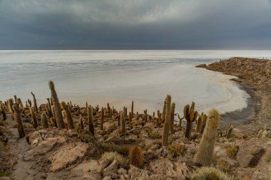 Salar de Uyuni tuz ovaları ile ada Incahuasi gündoğumu zaman, and Dağları'nda, Bolivya, Güney Amerika, büyük kaktüsler.