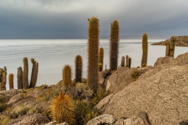 Salar de Uyuni tuz ovaları ile ada Incahuasi gündoğumu zaman, and Dağları'nda, Bolivya, Güney Amerika, büyük kaktüsler.