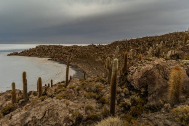 Salar de Uyuni tuz ovaları ile ada Incahuasi gündoğumu zaman, and Dağları'nda, Bolivya, Güney Amerika, büyük kaktüsler.
