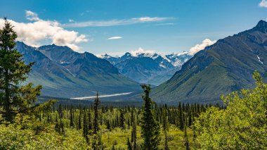 Alaska dağları, buzullar, orman, Homer 'ın manzarası