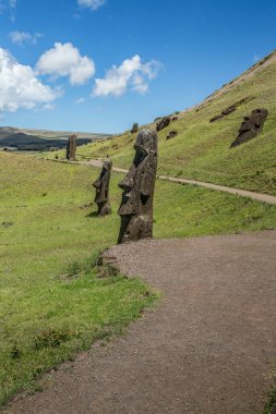 Eski Moais grubu Rapa Nui Ulusal Parkı 'nda, Paskalya Adası' nda.