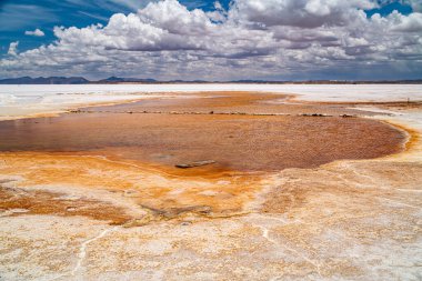 Uyuni Çölü (Salar de Uyuni olarak da bilinir) Bolivya 'nın güneybatısındaki dünyanın en büyük tuz dairesi..