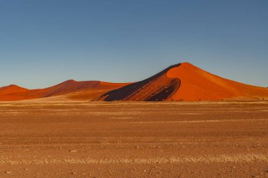 Namib Çölü 'nde kum tepeleri ve Namibya' nın ön planında ağaçlar.