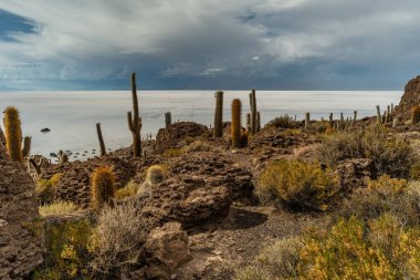 Salar de Uyuni tuz ovaları ile ada Incahuasi gündoğumu zaman, and Dağları'nda, Bolivya, Güney Amerika, büyük kaktüsler.