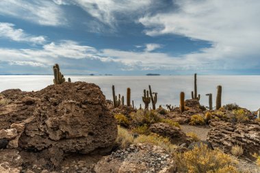 Salar de Uyuni tuz ovaları ile ada Incahuasi gündoğumu zaman, and Dağları'nda, Bolivya, Güney Amerika, büyük kaktüsler.